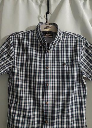 Шведка2 фото