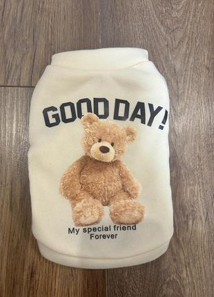 Одежда для животных