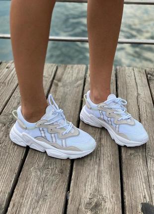 Женские кроссовки adidas ozweego