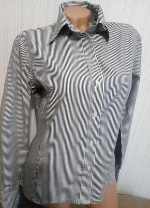Стильная рубашка/блузка в полоску размер м-l4 фото
