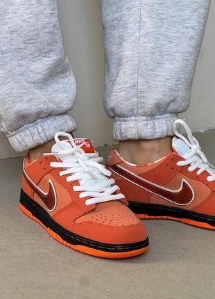 Женские кроссовки nike sb dunk low orange lobster найк дак оранжевого цвета5 фото