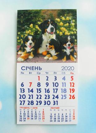 Календар магнітний відривний сувенірний на 2020 р. "собаки"1 фото