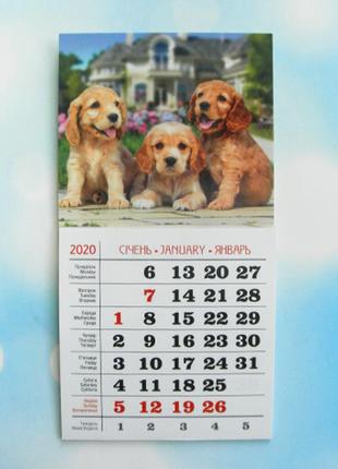 Календарик магнитный отрывной сувенирный на 2020 г.  "три щенка"