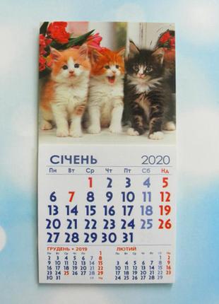 Календарь магнитный отрывной сувенирный на 2020 г.  "три котенка"