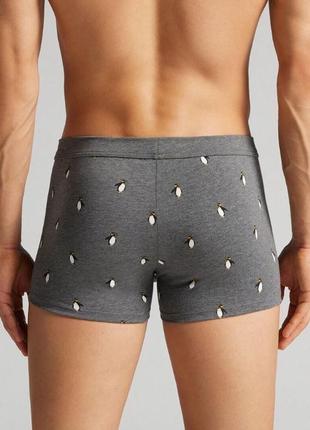 Труси-боксери