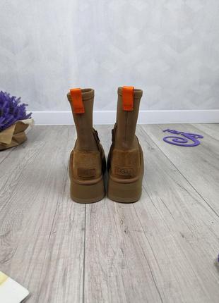 Жіночі зимові черевики уггі ugg classic dipper boot chestnut premium коричневі розмір 379 фото