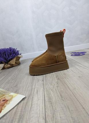 Жіночі зимові черевики уггі ugg classic dipper boot chestnut premium коричневі розмір 376 фото