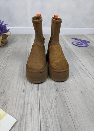 Жіночі зимові черевики уггі ugg classic dipper boot chestnut premium коричневі розмір 377 фото