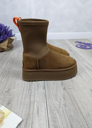 Жіночі зимові черевики уггі ugg classic dipper boot chestnut premium коричневі розмір 374 фото