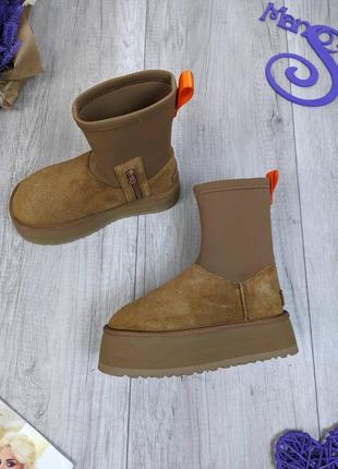 Жіночі зимові черевики уггі ugg classic dipper boot chestnut premium коричневі розмір 372 фото