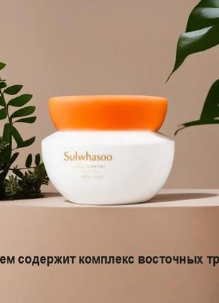 Sulwhasoo essential confort firming cream 15ml, питательный лфитинг-крем от морщин7 фото