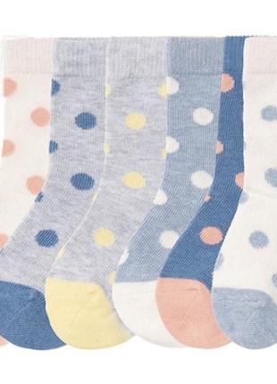 Набір шкарпеток шкарпетки