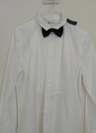 Рубашка с бабочкой