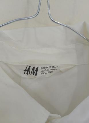 Рубашка с бабочкой