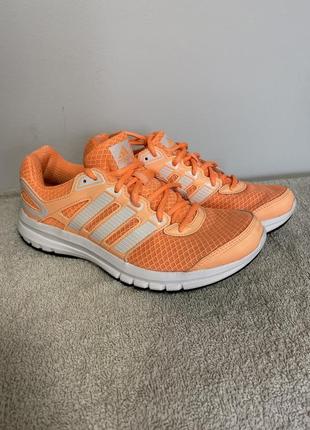 Кросівки жіночі adidas