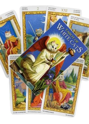 Таро білих кішок (tarot of white cats)1 фото