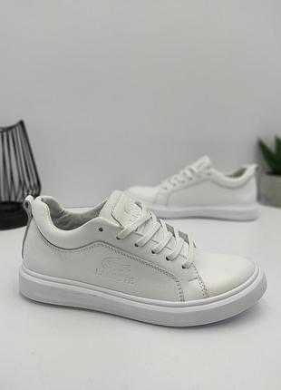 Кеди