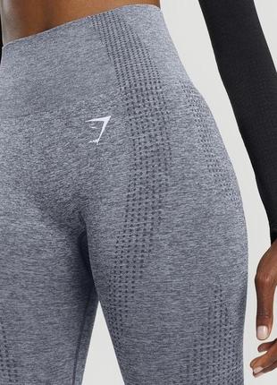 Лосіни легінси gymshark