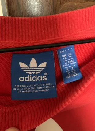 Світшот adidas2 фото