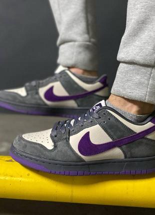 Nike sb dunk low pro purple&amp;grey1 фото