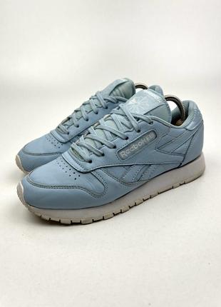 Оригинальные кожаные кроссовки reebok classic