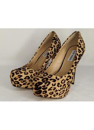 Туфлі поні жіночі steve madden