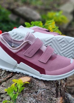 Кроссовки Taille biom