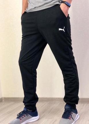 48-56 г мужские спортивные штаны двунитка