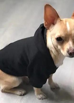 Одяг для собак