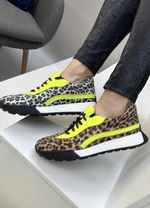 Леопардові кросівки #0015 ін-ян дизайнерські натуральна шкіра та замш 36-41