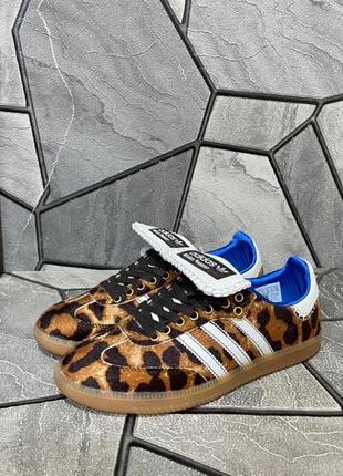 Кеди adidas