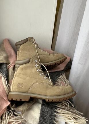 Черевики демісезон timberland