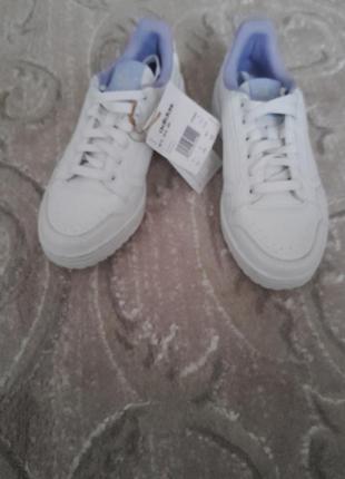 Кроссовки algerie adidas
