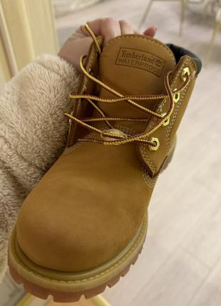 Черевики timberland з америки5 фото