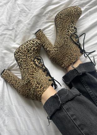 Ботинки чоботи ботильони на підборах леопард великий розмір 42 високі2 фото