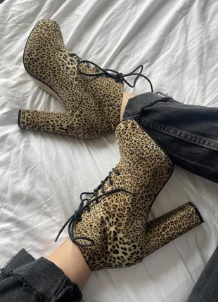 Ботинки чоботи ботильони на підборах леопард великий розмір 42 високі10 фото