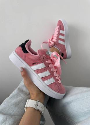 Женские кроссовки адидас кампус рожеві adidas campus « light pink » premium