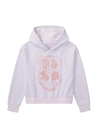 Толстовка гаррі поттер