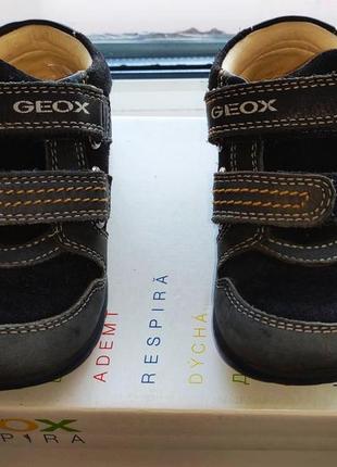 Демисезонные ботинки geox8 фото
