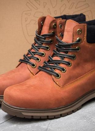 Зимние мужские кроссовки timberland radford (коричневі) зима