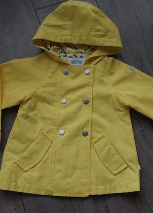 Okaїdi вітровка