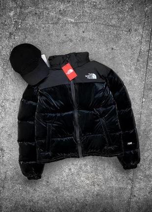 Куртка зимняя в стиле the north face черная (матовый монклер)