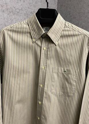 Полосатая рубашка от бренда lacoste3 фото