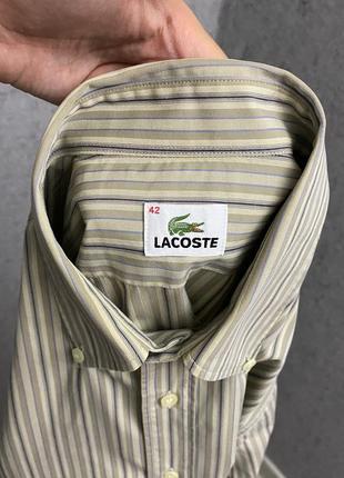 Полосатая рубашка от бренда lacoste5 фото