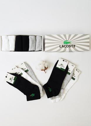 Набір спортивні шкарпетки для чоловіків lacoste 6 пар. шкарпетки комплект лакосте комплект 6шт. короткі шкарпетки чоловічі3 фото