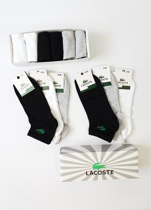 Набір спортивні шкарпетки для чоловіків lacoste 6 пар. шкарпетки комплект лакосте комплект 6шт. короткі шкарпетки чоловічі5 фото