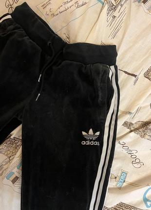 Вельветові джогери adidas2 фото