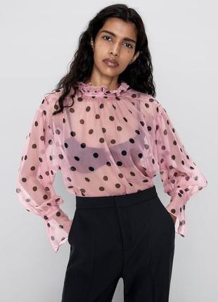 Zara неймовірна повітряна прозора блуза блузка горох бренд zara, р.s1 фото