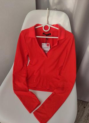 Лонгослів жіночий