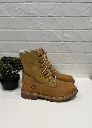 Жіночі черевики timberland1 фото